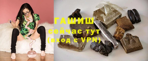 индика Протвино
