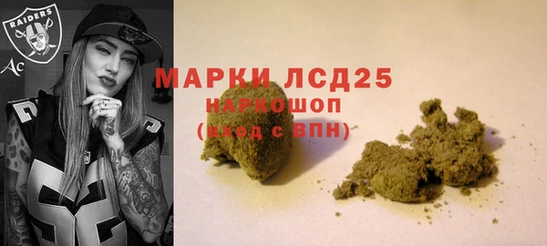 индика Протвино
