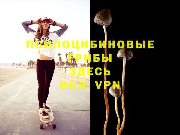 твердый Белокуриха