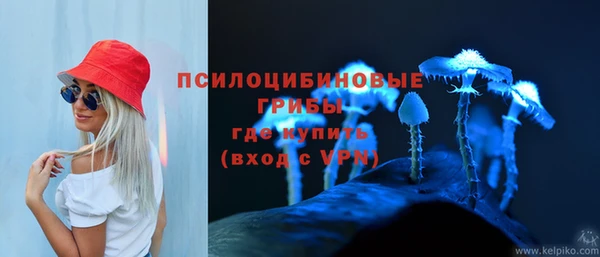 твердый Белокуриха