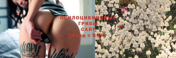 твердый Белокуриха