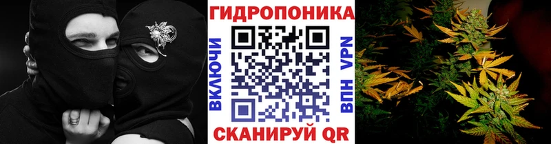Марихуана LSD WEED Волгореченск